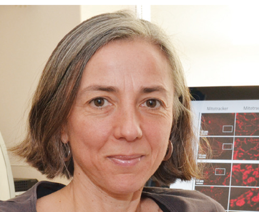 Antonella Spinazzola e i progressi della medicina mitocondriale in un seminario a Biogem